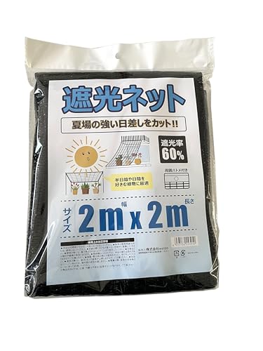 Ռlbg Ռ 0.6 ngt 2x2m