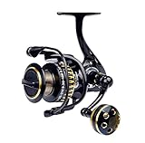 Hochwertige Meerwasserangeln-Rolle, korrosionsbeständige, präzisere Edelstahl-Ausrüstung, glatt und vernünftig;Perfekte Angelrolle spinnende Rollenfischereiwerkzeug, ein gutes Geschenk für Angelbegeisterte