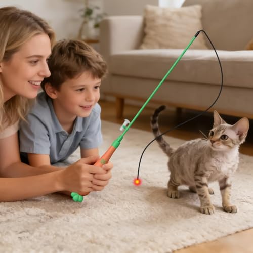 Canne à pêche pour chat ludique stimulation et ennui