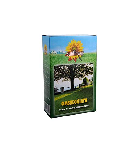 Sunflower - Semillas de césped sombreadas, 0,25 kg