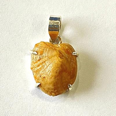 Natural Certified Gold Machh Mani Pendant stone Pendant