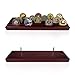 ASmileIndeep Military Challenge Coins Display Holder Solid Wood,Challenge Coin Stand Holds 30 Coins , 4 Row Military Coin Holder Rack for Desk,Challenge Coin Display Case for Collectors, Red