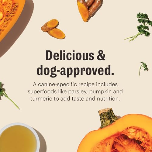 Image of The Honest Kitchen Human Grade Daily Boosts Instant Beef Bone Broth with Turmeric for Dogs 3.6 Ounces