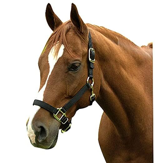 Blessing Horse Head Collar Halter Black with Strong Iron fiting