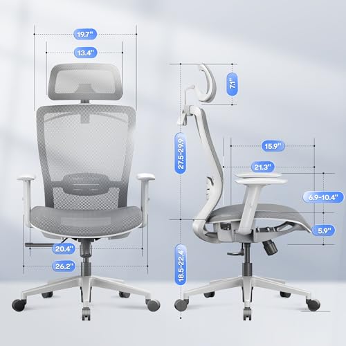 Image of FLEXISPOT OC3 Air Ergonomic Office Chair Mesh Back Swivel Computer Chair Executive Office Desk Chairs with Adjustable Lumbar Support /2D Headrest /Lockable Backrest, Mesh Seat Cushion, Light Gray