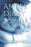  Angel Diary 2019: Angel Messages & Astrological Datebook (2019 Diaries, Band 1)