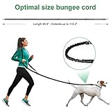 ETACCU Doppelte Leinen Freihandleinen Übungsleinen mit Rollleinen 3M für mittlere Hunde bis 50 Kg, Große Hunde Robuste Rutschfester Griff, Ohne Verwicklung, Reflektierende (Schwarz)