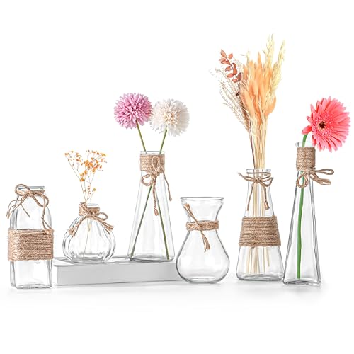 Winter Shore Jarrones Cristal para Centro de Mesa [Pack de 6] - Floreros...