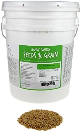 Handy Pantry Organic Barley Grass - 30 Lbs - Whole (Hull Intact) Barleygrass Seed - Ornamental Barley Grass, Juicing - Grain for Beer Making, Emergency Food Storage & More Product Name