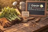 100 graines Aromatiques à semer - Le Grenier d'Abondance - CÉLERI à couper - Apium graveolens