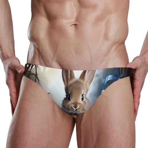 Mens Easter Bunny Rabbit Eggs Bikini Swimsuit Swimwear Swim Briefs for Men 213415462