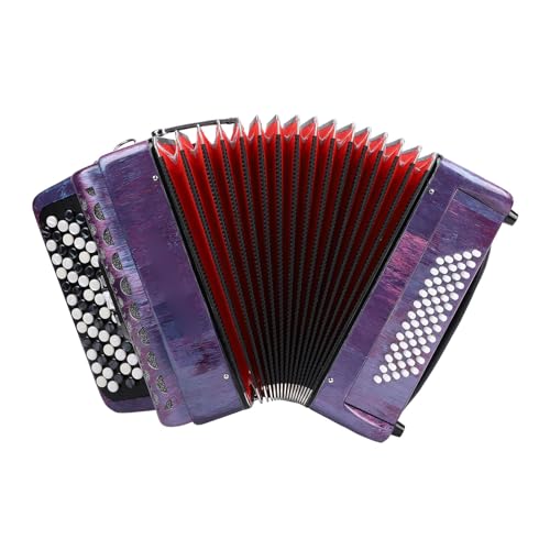 Odorkle Acordeón Cromático 62 Teclas 60 Bajos Calidad de Sonido Premium Afinación F B E con Correa Ajustable Ideal para Clases Práctica Actuación en Vivo
