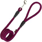 Gooby Mesh Leash - Purple, 4ft