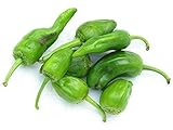 Pimientos de Padrón 10 Samen