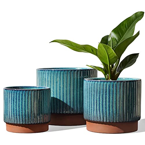 Image of LE TAUCI Ceramic Plant Pots with Drainage Holes, Set of 3, 8+6.7+5.5 Inch Stripe Garden Planter Pots for Outdoor Indoor Plants Flower, Round Succulent Orchid Flower Pot, Reactive Glaze Green