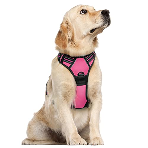 rabbitgoo Dog Harness Large Dog No Pull Pet Harness with 2 Leash Clips, Adjustable Soft Padded Pet Vest
