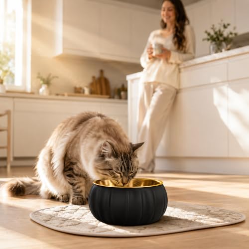 Black Pumpkin Shape Pet Bowl 304 Stainless Steel for Dogs and Cats - Image 2