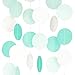 Circle Dots Paper Party Garland Streamer Backdrop (10 Feet Long) - Aqua, Mint, Pearl White Glitter