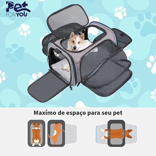 Bolsa De Transporte Pet 51x32x31cm Expansível Luxo Viagem Aéreo Cabine Grande Passeio Cães e Gatos