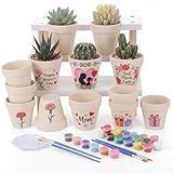 Sieral Lot de 12 petits pots de fleurs en céramique à peindre avec trou de drainage, pinceaux, palettes pour printemps, Pâques, fête des mères, loisirs créatifs
