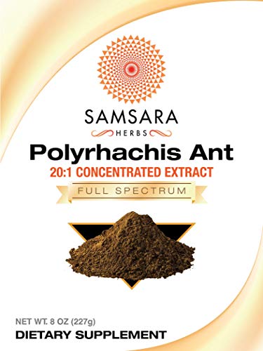 Samsara Herbs Polyrhachis Ant Extract Powder - 20:1 Concentrated Extract (8oz)