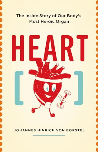 Heart view 2