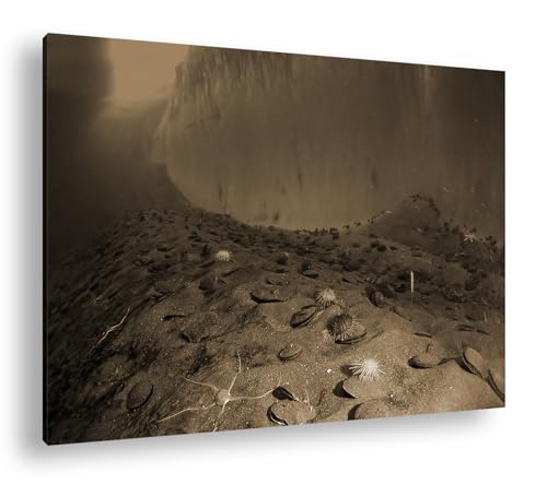Paysage sous-marin glacier deyoli Toile sépia 90x60 pour chambre zen