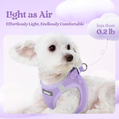 Rabbitgoo Step-In Harness & Leash Set (Light Purple, Small) — view 3