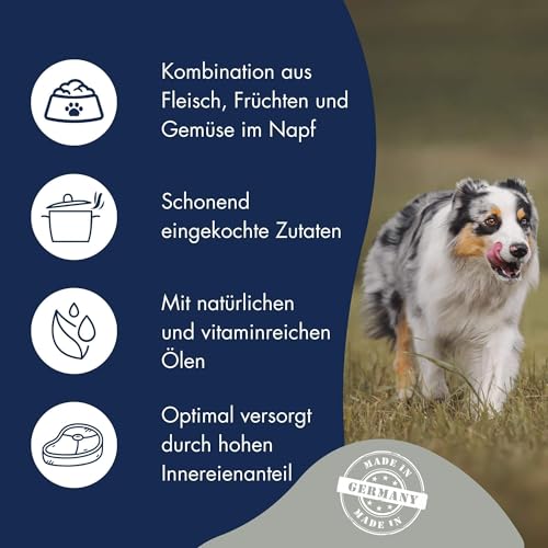 DR.CLAUDER'S - B.A.R.F. Komplett Menue Lammragout | Fleischeintopf mit 100% Lammfleisch, Innereien und Gemüse für ausgewachsene Hunde. Alleinfutter in der Dose | 6X 400g Lamm
