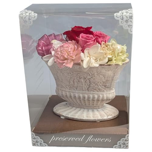 L[t(Q-FLA) vU[uht[ }[W AW P[X [Y ̓ Mtg 蕨 781391