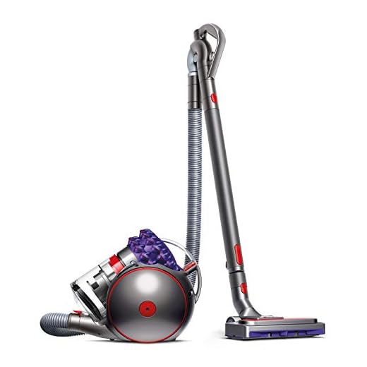 Dyson Cinetic Big Ball Parquet 2 A cilindro 0.8L 700W A Viola