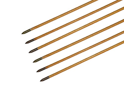 Huntingdoor Glue-On Arrow Field Points Archery Points For Wooden & Bamboo & Fiberglass Arrow 6 Packs #TOP3