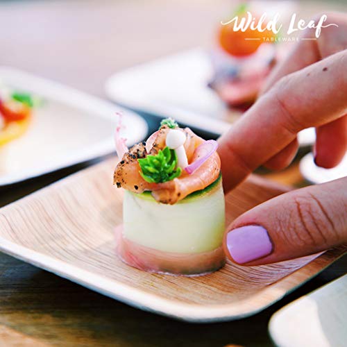 Wild Leaf Tableware Disposable Mini Canape Plates, 4 Inch / 25 Pack. Small, Bite-Size Bamboo Tasting Plates, Perfect For Cocktail Parties And Catering Events. Eco Friendly Palm Leaf Plates #TOP4