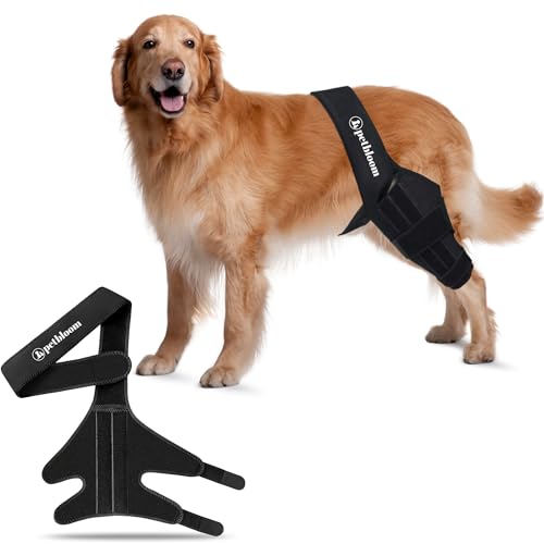 Dog Hip Brace The 15 best products compared Wild Explained