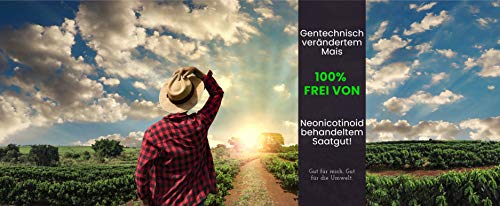 Premium Butterfly Popcorn Corn 1000g XL 1:46 popvolume met smaakbeschermende verpakking GGO-vrij - Image 5