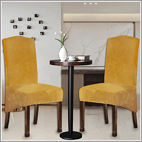 Velvet Plush Xl Dining Chair Covers, Stretch Chaircover, Spandex High Chairs Protector Covers Seat Slipcover With Elastic Band For Dining Room,Wedding, Ceremony, Banquet (Mustard Gold, Set Of 6) #TOP4