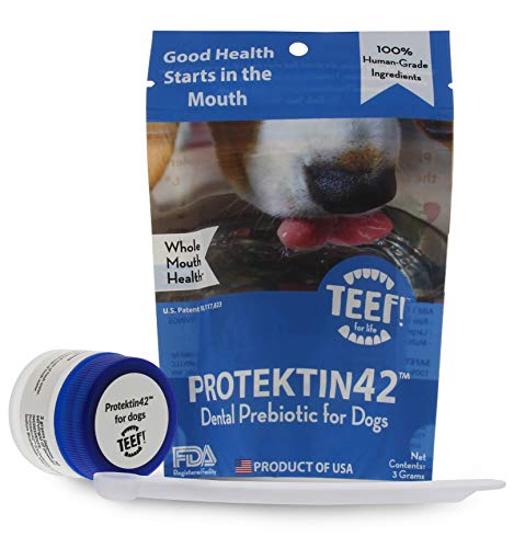 TEEF! Daily Dental Care  Natural Dog Dental Water Additive, 30 Day Supply  Award Winning Formula Fights Plaque and Tartar  No Brushing, Add to Water Bowl  Say Hello to Healthier Gums