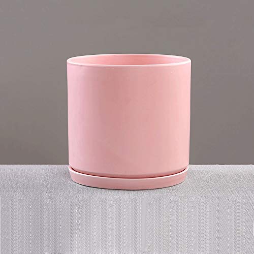 Maceta de flores simple de estilo europeo para plantas suculentas de pared