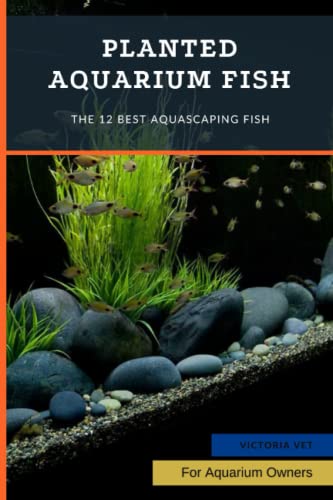 Planted Aquarium Fish: The 12 Best Aquascaping Fish
