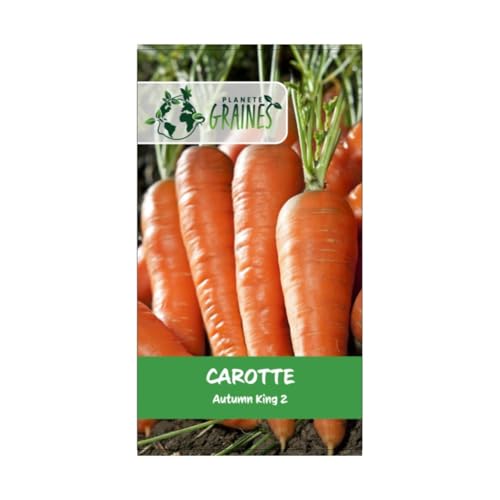 100 graines de carotte automne hiver king 2 - -Idéal cuisine et stockage - Racines levées tardives - Variété large et très apprécié