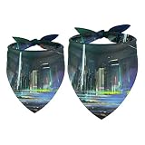 Lot de 2 bandanas pour chien Megapolis Night City Girl Boy - Accessoires pour chiens de petite, moyenne et grande taille