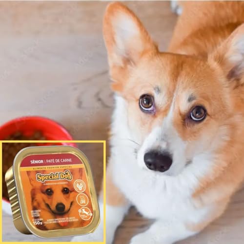 KIT COM 2 SPECIAL DOG PATÊ CÃO SENIOR CARNE 150GR