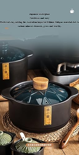 Marmite à ragoût résistante aux hautes températures en céramique durable - 4