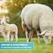 Greenwood Soft-Sheep Pad-Halter Pro mit 10 Wollpads & Teleskop-Stiel - Set zum Nachölen von Parkett, Marmor, Granit - GlamUp Oil Polierpads