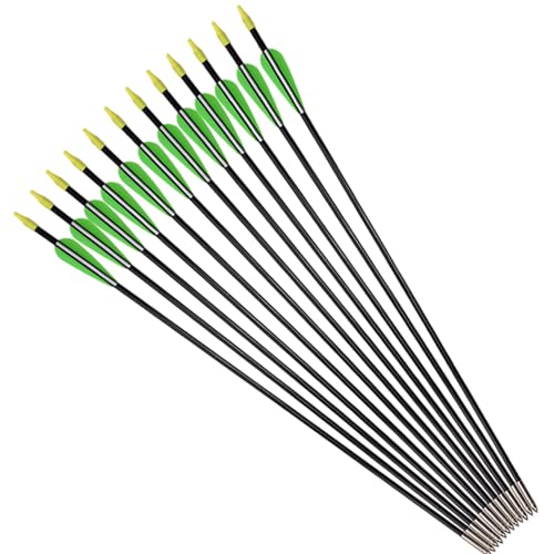 Fiberglass Practice Arrows Archery 26 Inch Target Shooting Safety Recurve Bows Suitable for Youth Woman Beginner 6 PCS