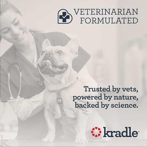 Image of Kradle Bliss Bars for Dogs - Peanut Butter Flavored Calming - GABA L-Theanine - On The Go Packaging - Supports a Calm Demeanor - 6 Bars (Pack of 2)