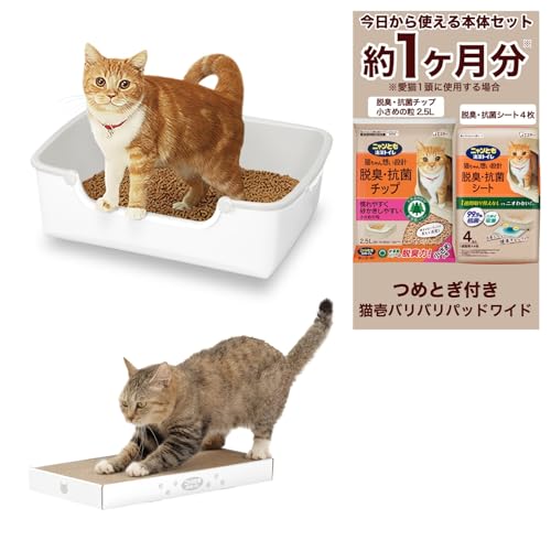 jƂgC L L gC { ߂Ƃ Zbg [1 LEV[gt] 炭ƃVv^Cv oopbh Ch ȃXy[X  ȒP zCgCgO[ Lp VXegC LgC qL