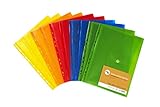 FARBE – 10 Sichthüllen in 5 Farben (je 2x gelb, orange, rot, grün, blau), gute Erkennbarkeit durch die Plastik-Folie, mit praktischer Multi-Euro-Lochung und somit ideal zum Abheften als Einlage für Ordner
