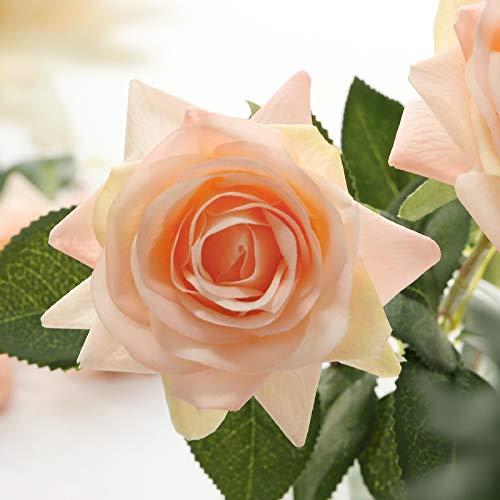 DIGIROOT Artificial Flowers Fake Rose, 12pcs Real Touch Silk Rose Flowers DIY for Wedding, Party and Home Decoration, Champagne