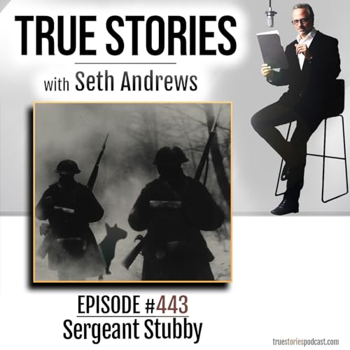 True Stories #443 - Sergeant Stubby